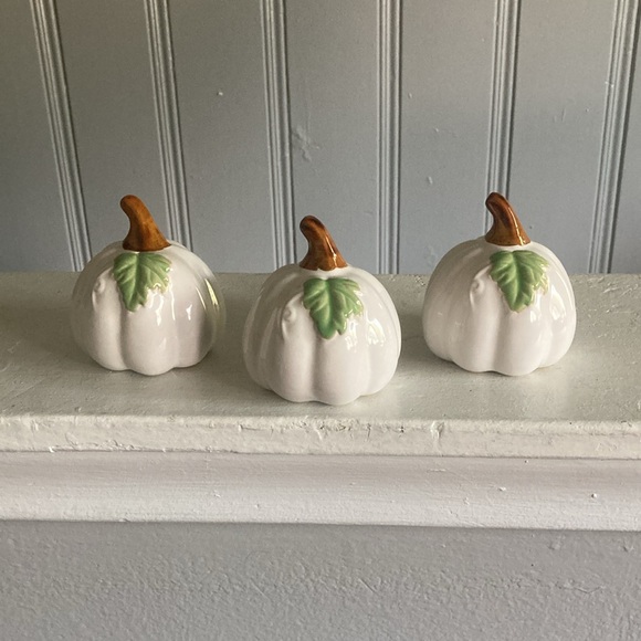 NWT- Set of 3- White- Green Leaf - Porcelain Glazed Fall Pumpkin Decorations 🍂 - Picture 3 of 16